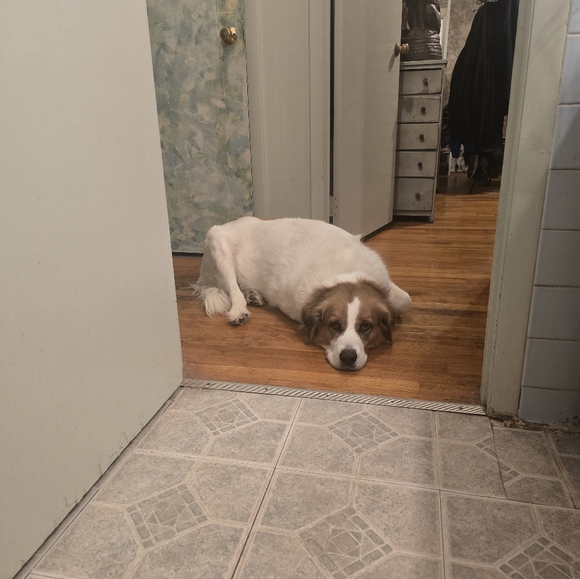 Hippie Rose Sweaters - Not For Sale